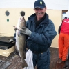 de grootste vis van wrakvissen 2012